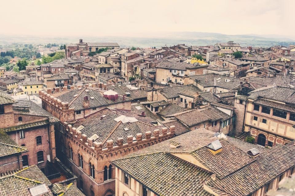 Neighborhood Roof